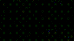 どっちが好き？