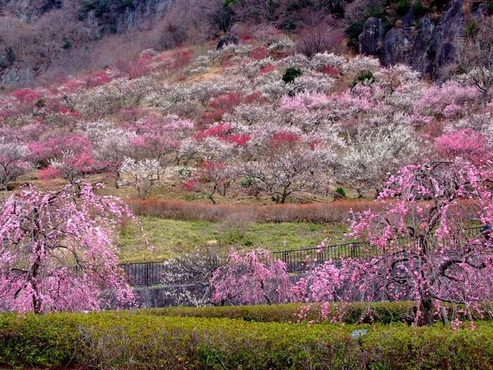 ○○県