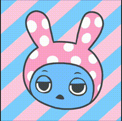 どっちが好き？