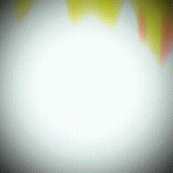 たかたのゆめちゃんは好き？