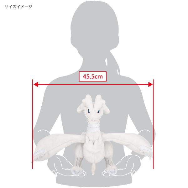 神奈川県○○市