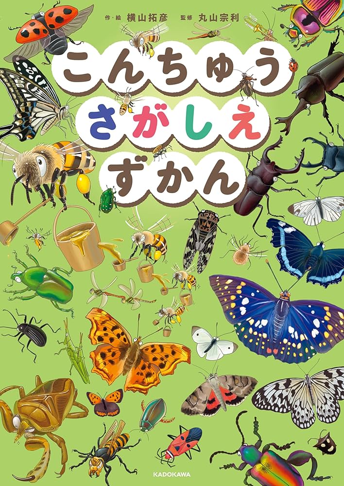 神奈川県○○市
