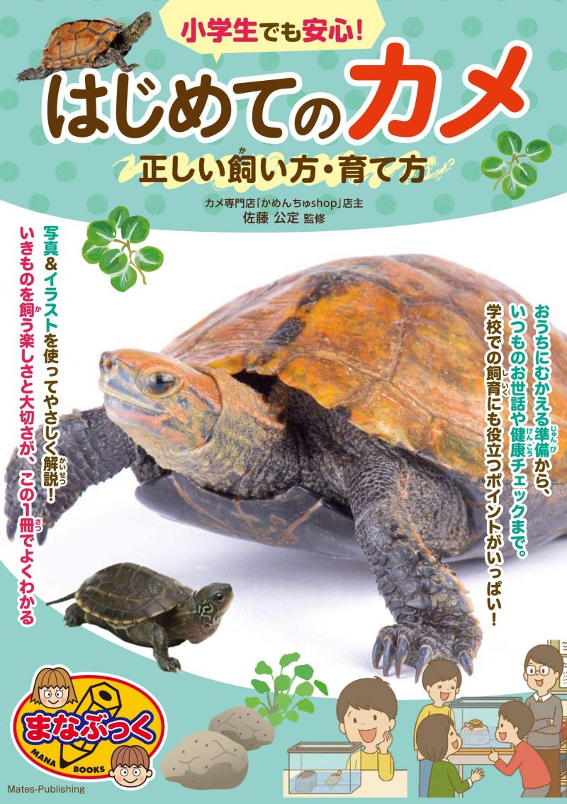 カメは好き？