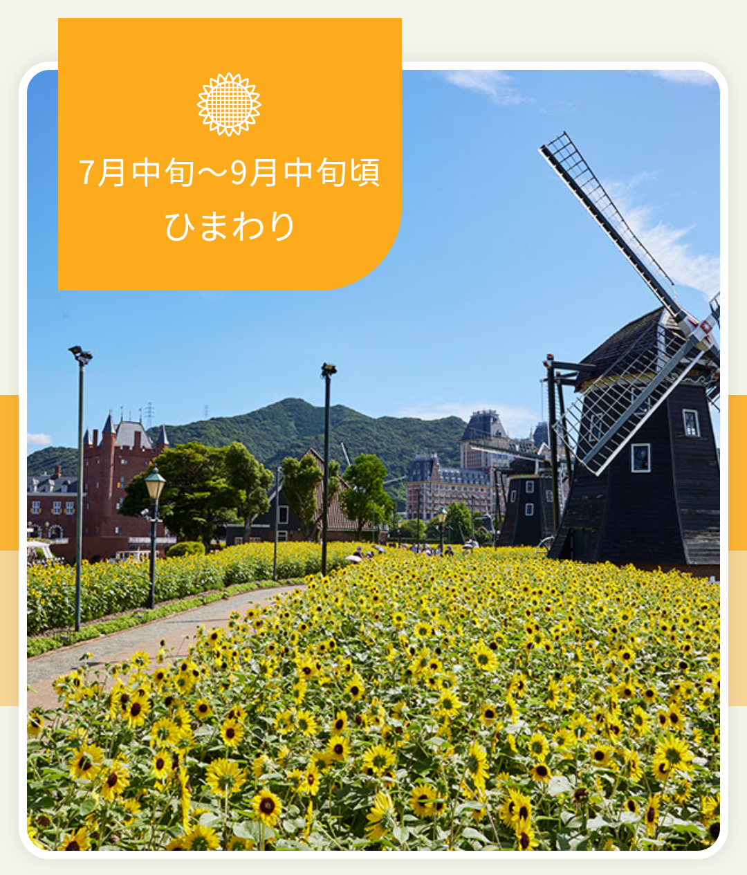 向日葵は好き？