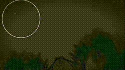 どっちが好き？