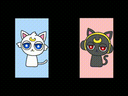 どっちが好き？