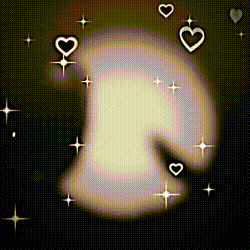 どっちが好き？