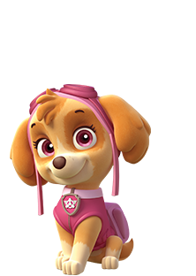 スカイは好き？