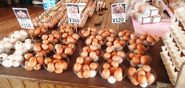 神奈川県○○市